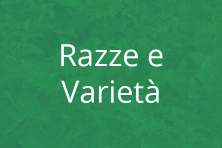 genomamiata-banner-300x200-razze-e-verieta genomamiata-banner-300x200-razze-e-verieta